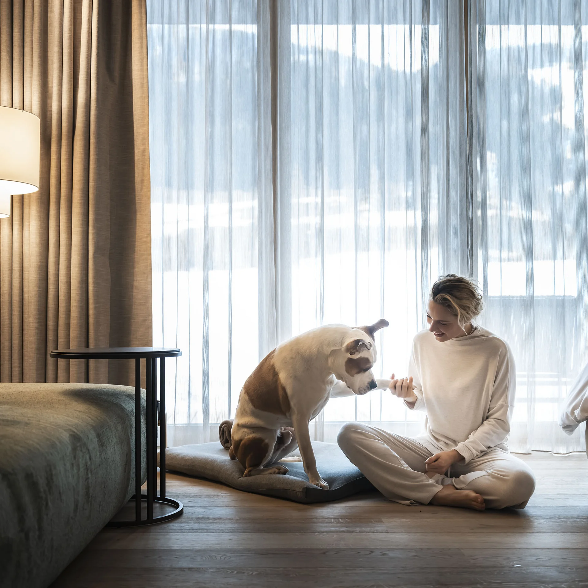 Woman giving paw to dog sitting on floor in front of window with curtains
