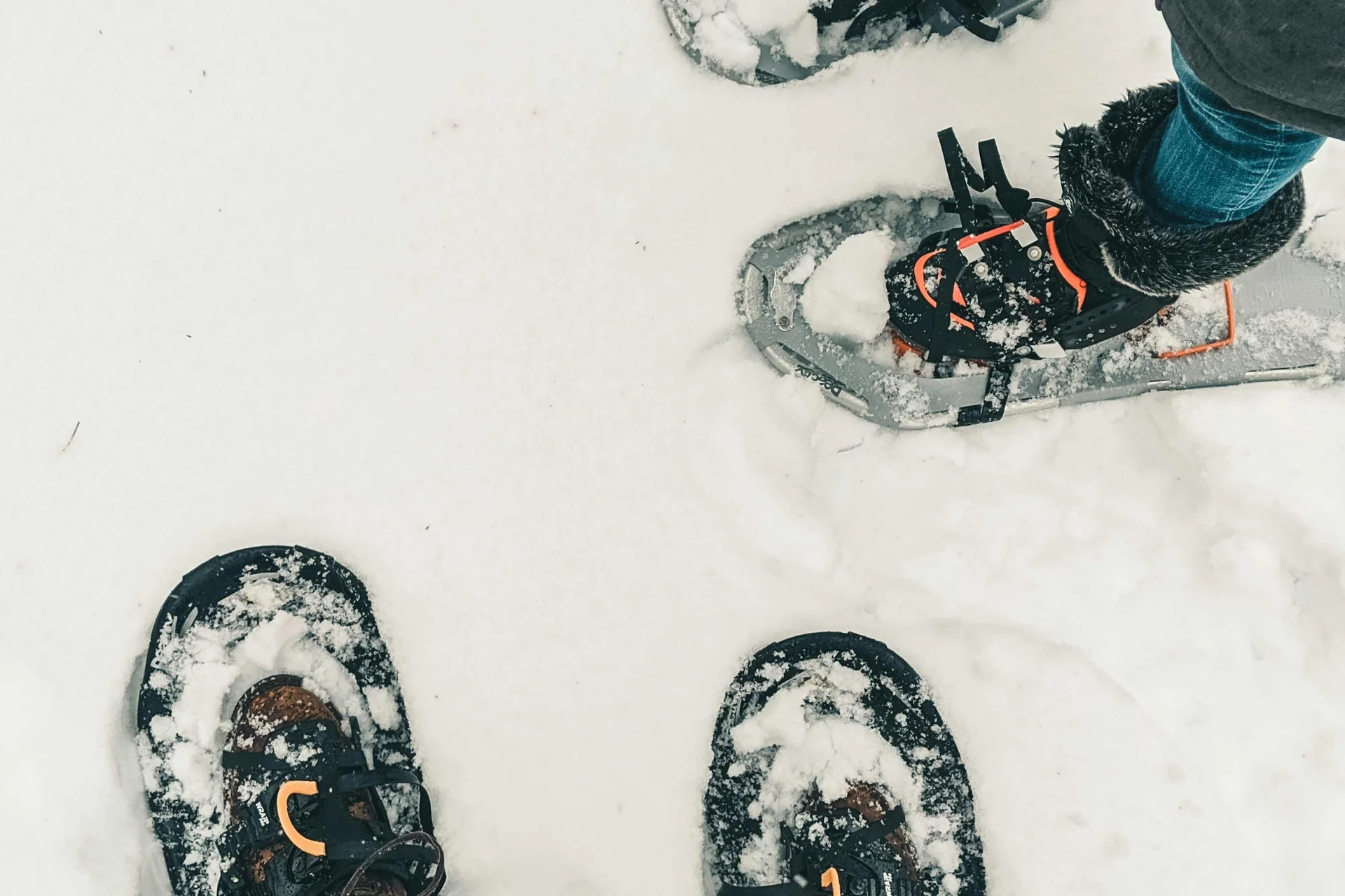 Fitness, Yoga, Outdoor-Erlebnisse: Aktivhotel in Südtirol Zwei Personen mit Schneeschuhen stehen im Schnee