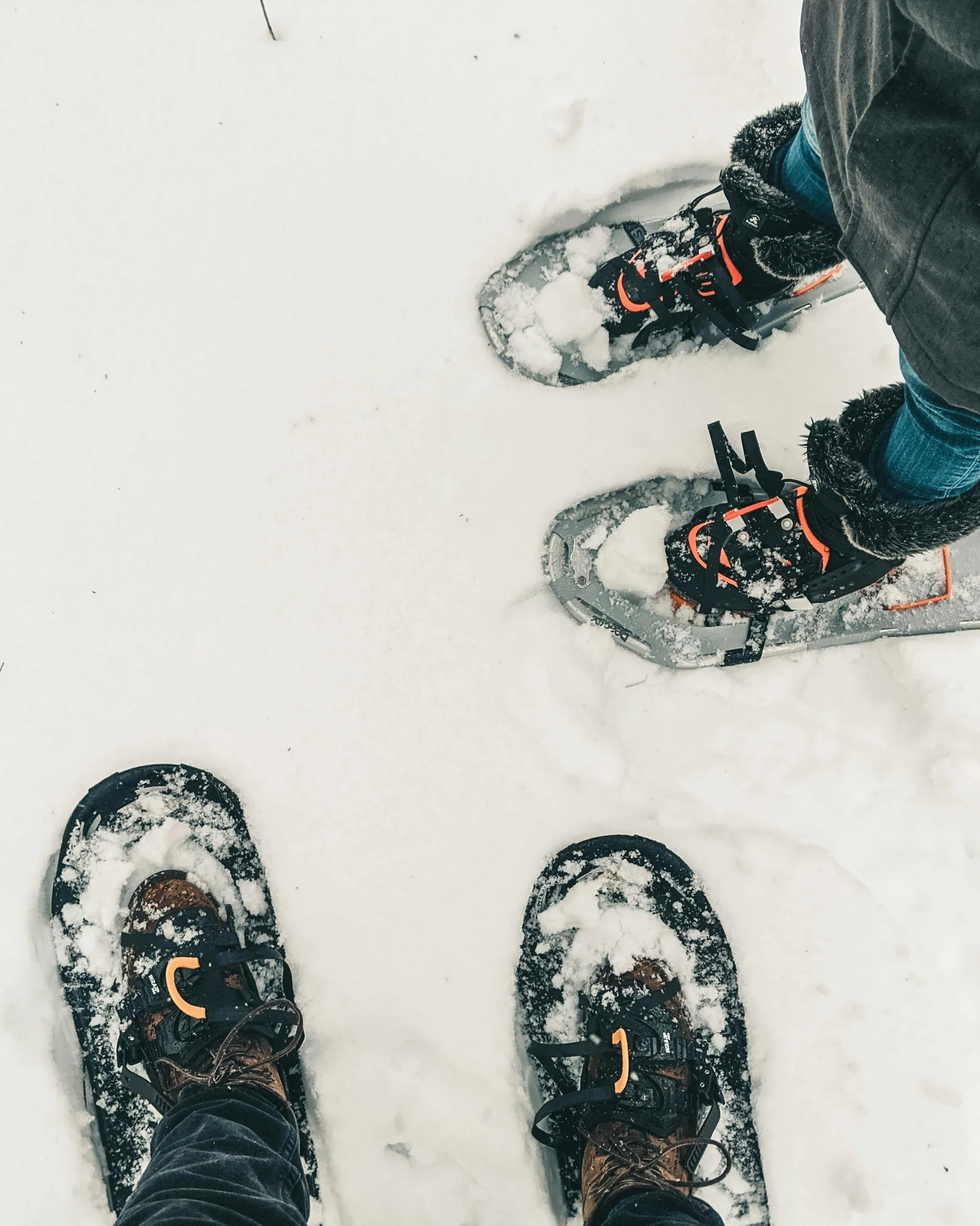 Zwei Personen mit Schneeschuhen stehen im Schnee
