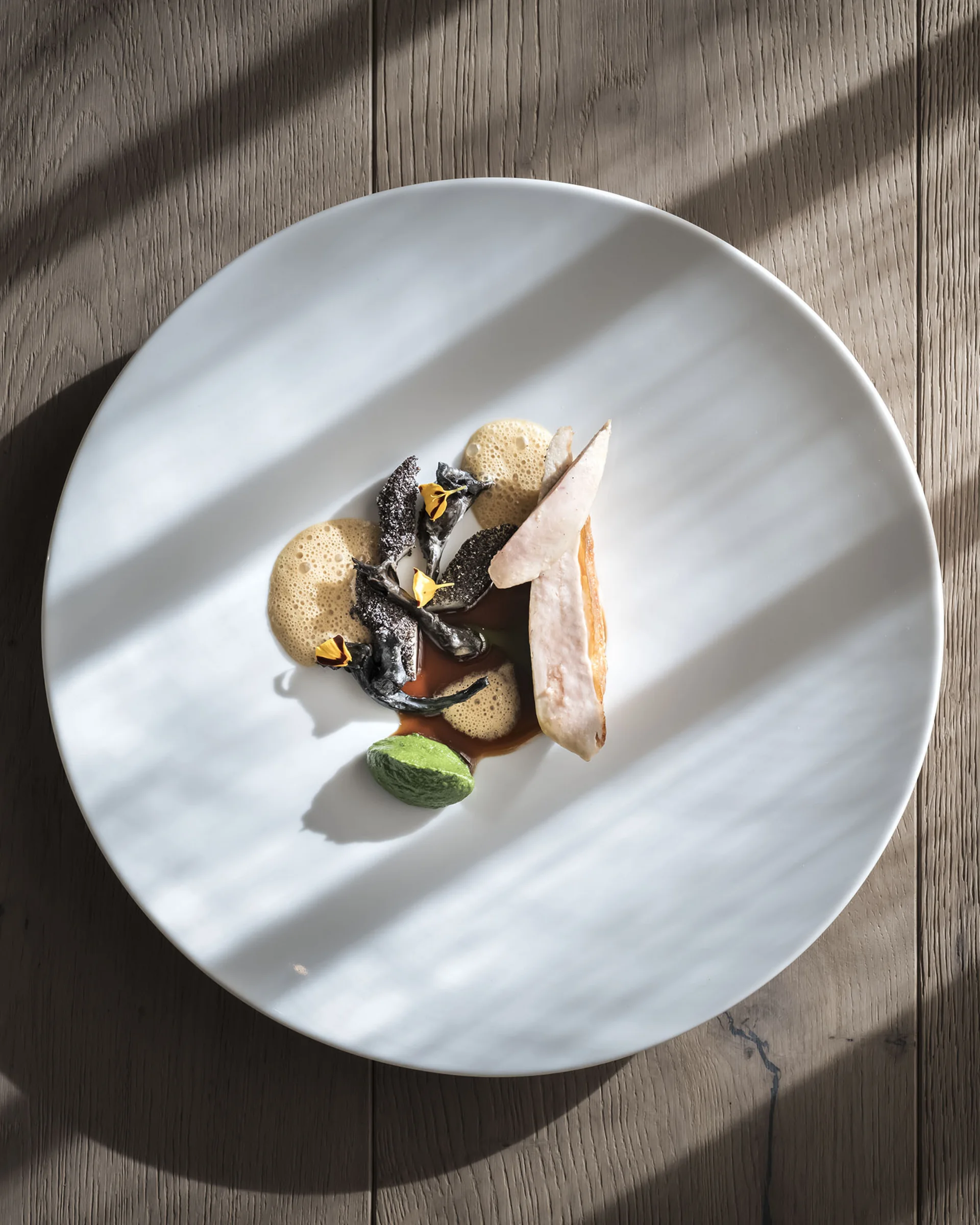 Künstlerisch angerichtetes Gericht mit Pilzen und grünem Püree auf weißem Teller