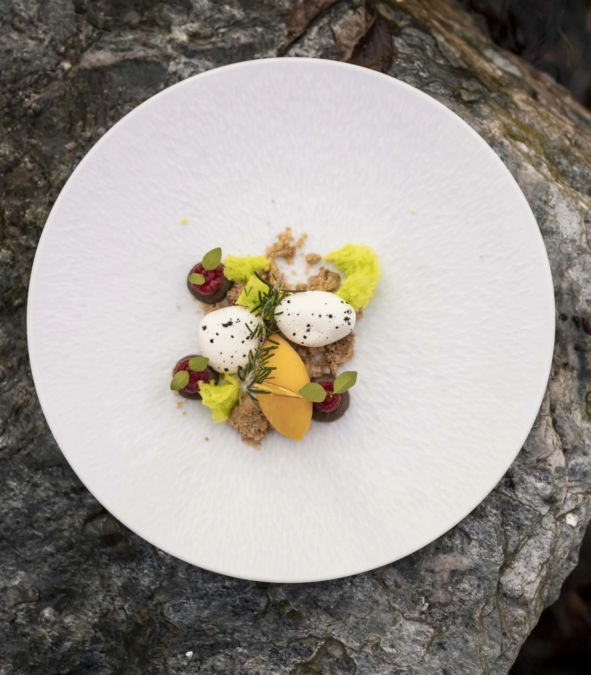 Gourmetdessert mit Eis, Beeren und Kräutern auf weißem Teller auf Steinuntergrund