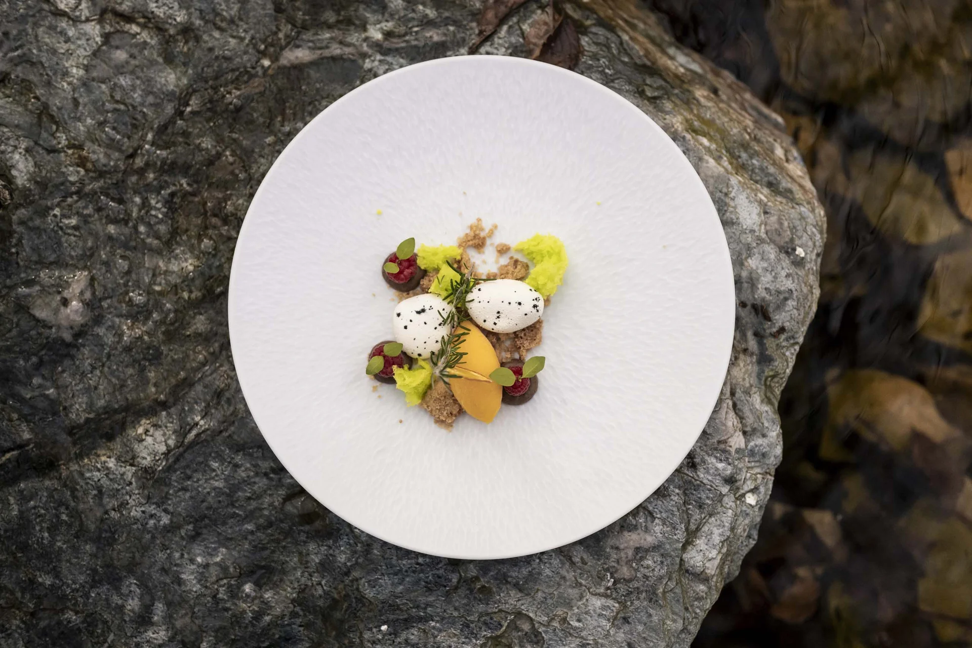 Gourmetdessert mit Eis, Beeren und Kräutern auf weißem Teller auf Steinuntergrund