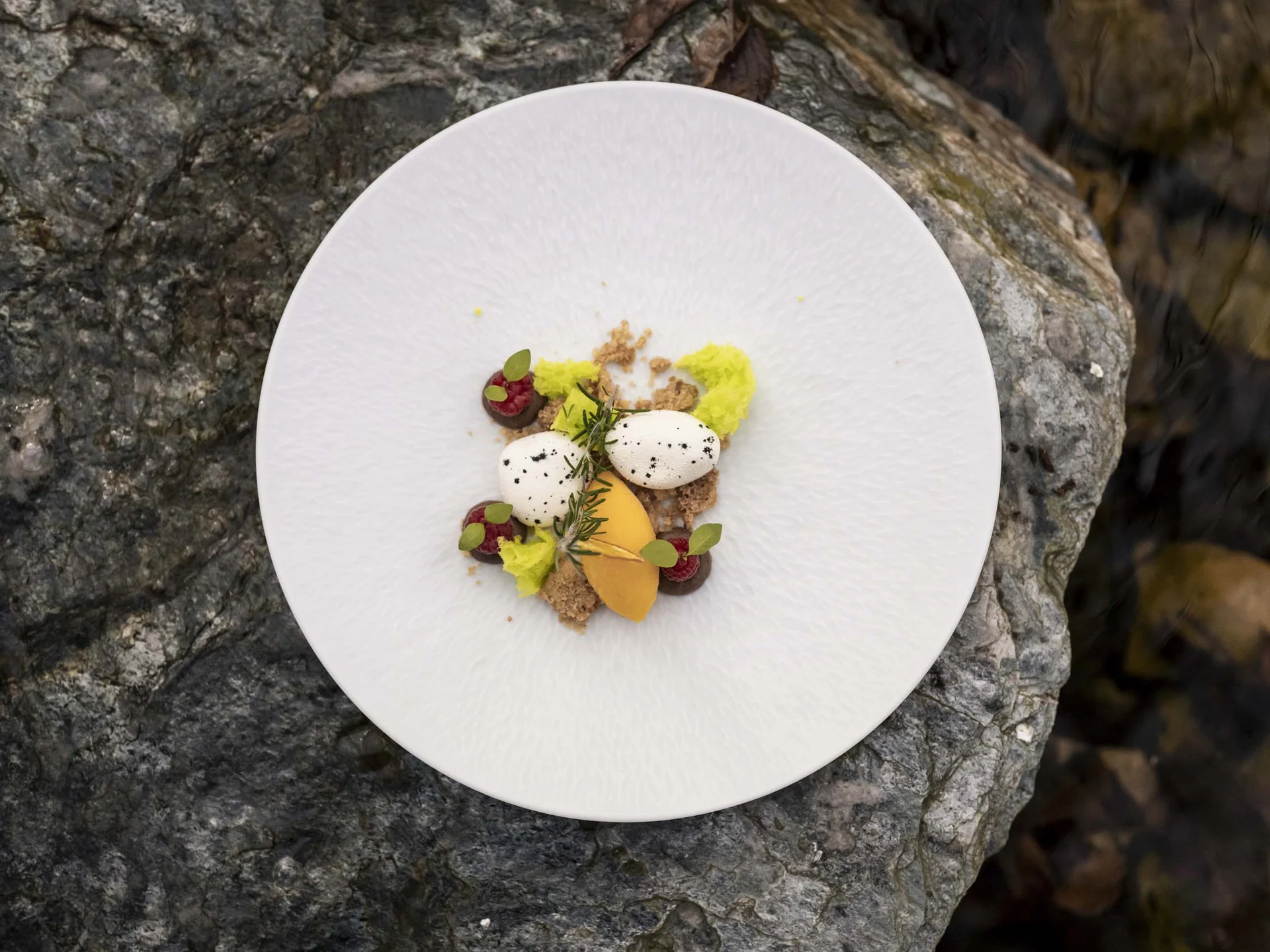 Natürlicher Genuss: Ihr Hotel mit Halbpension in Südtirol Gourmetdessert mit Eis, Beeren und Kräutern auf weißem Teller auf Steinuntergrund