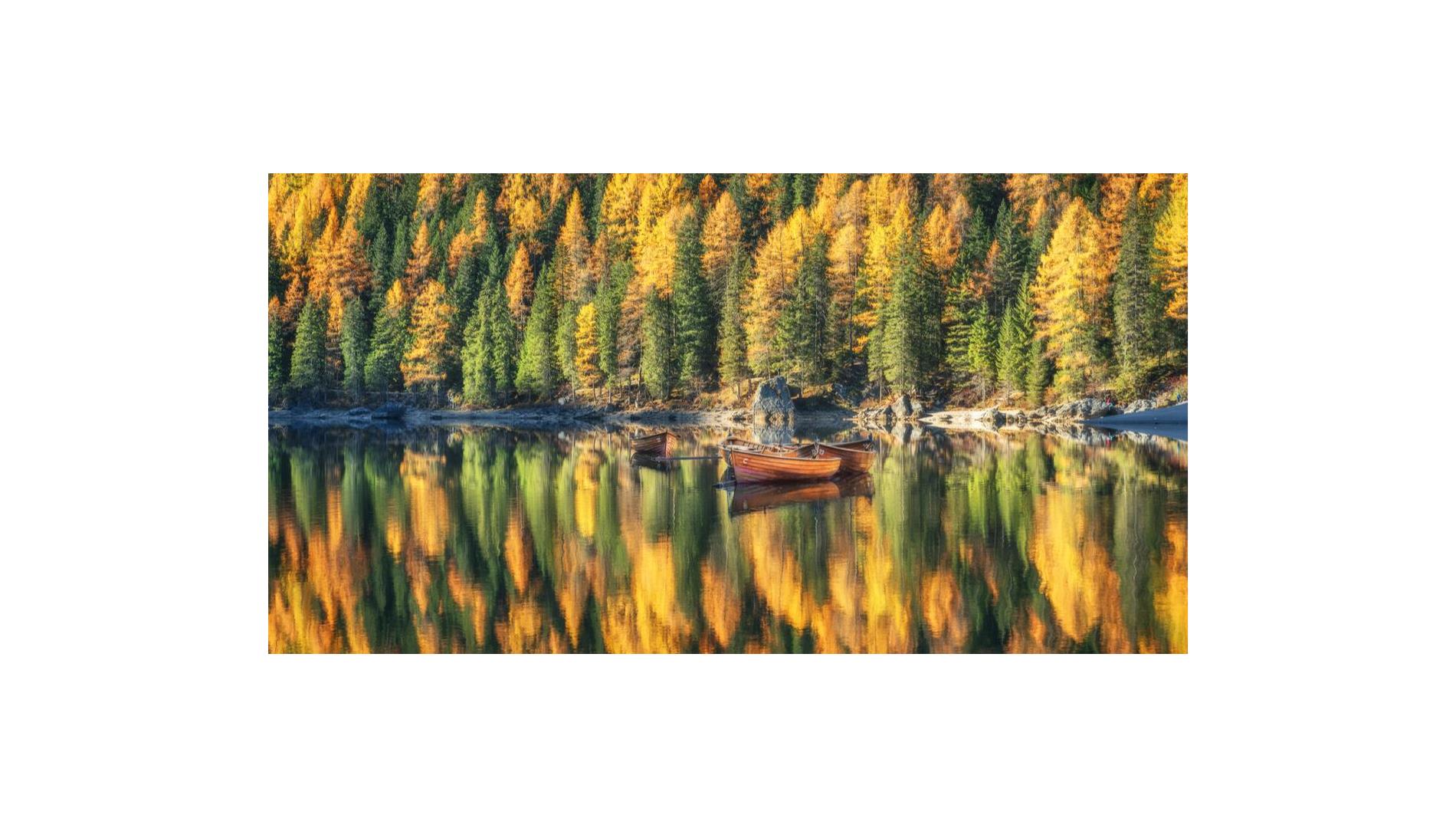shutterstock-1221156421-2