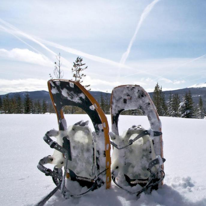 Snowshoes